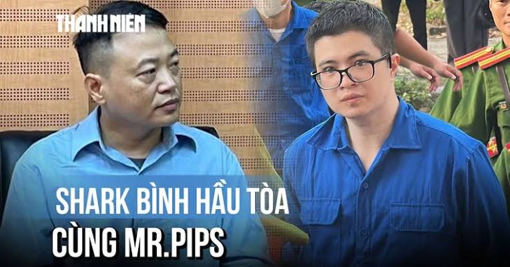 Shark bình hầu tòa cùng Mr Pips